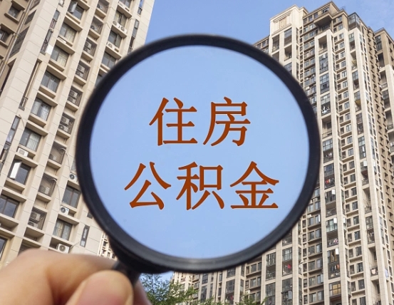 漯河退休后查不到公积金明细了吗（退休后公积金查询不到原因）